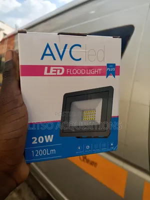 20w Avc Electric Floodlight
