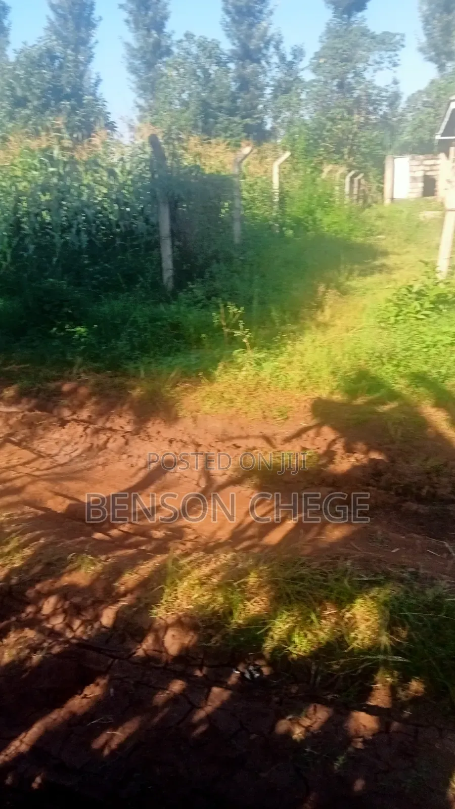 100by100 Plot for Sale in Maragua