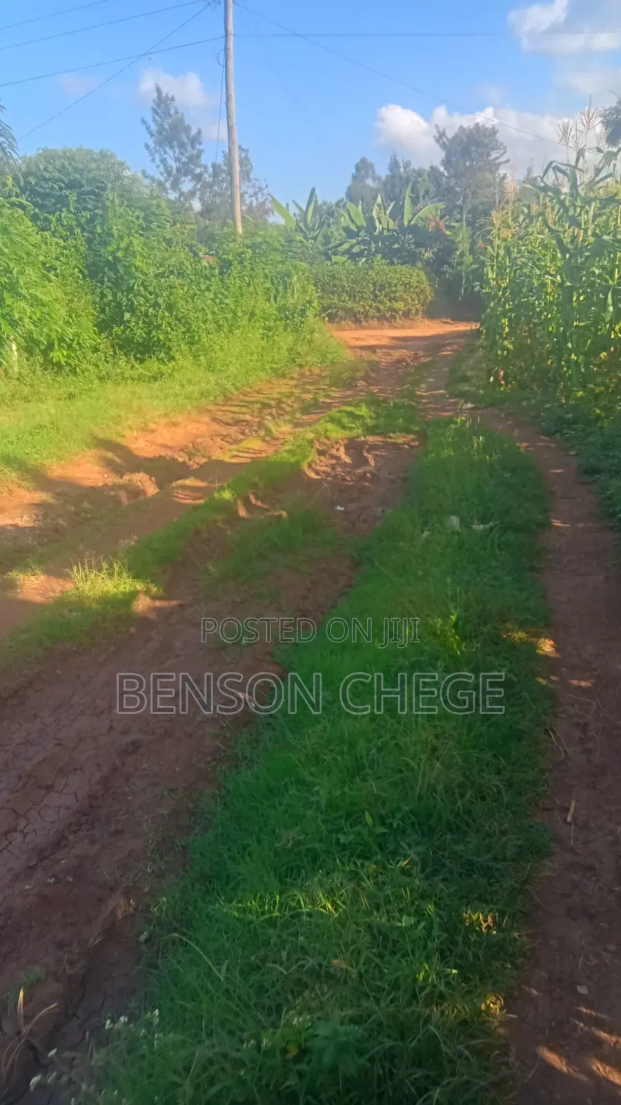 100by100 Plot for Sale in Maragua