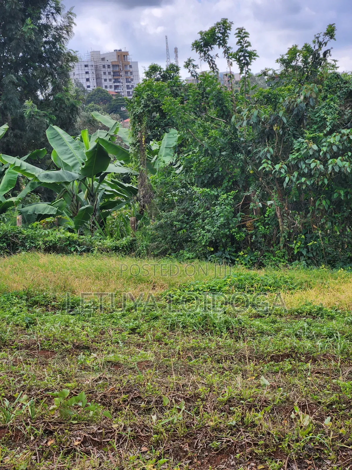 (6) 1⁄4 Acre Plots Ngong-Zambia