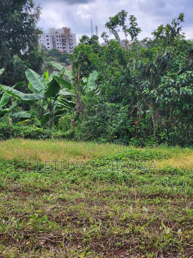 (6) 1⁄4 Acre Plots Ngong-Zambia