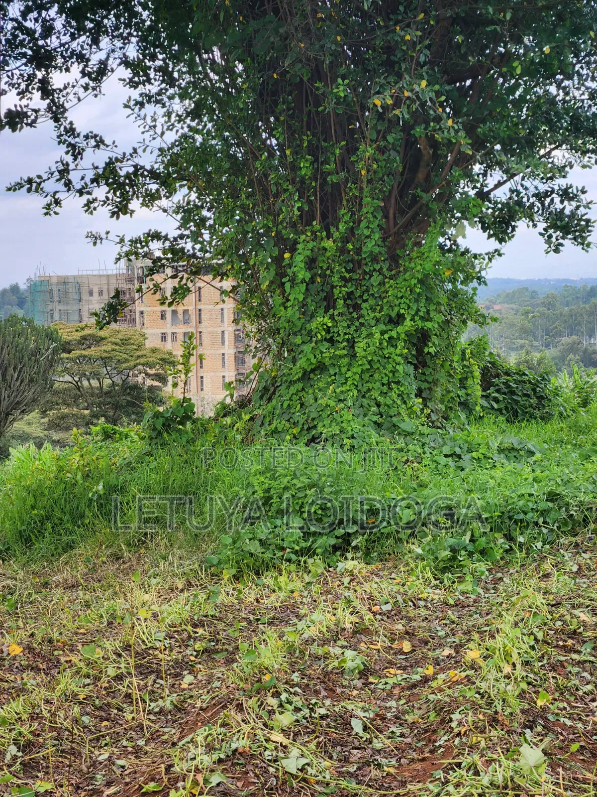 (6) 1⁄4 Acre Plots Ngong-Zambia