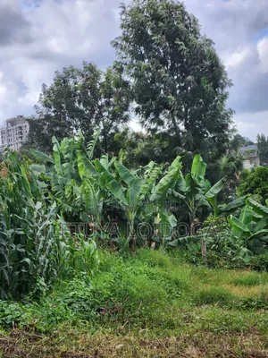 (6) 1⁄4 Acre Plots Ngong-Zambia