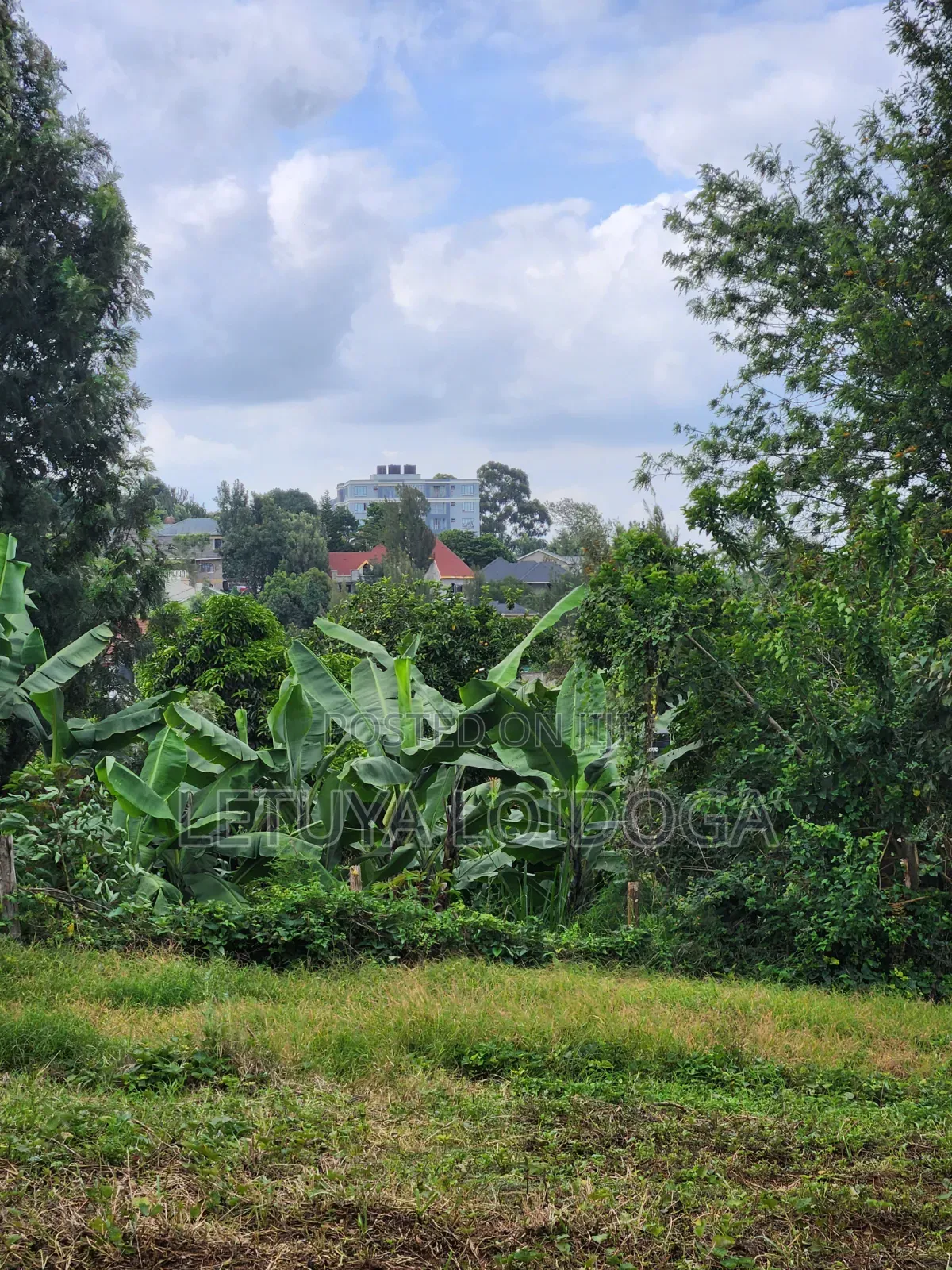 (6) 1⁄4 Acre Plots Ngong-Zambia