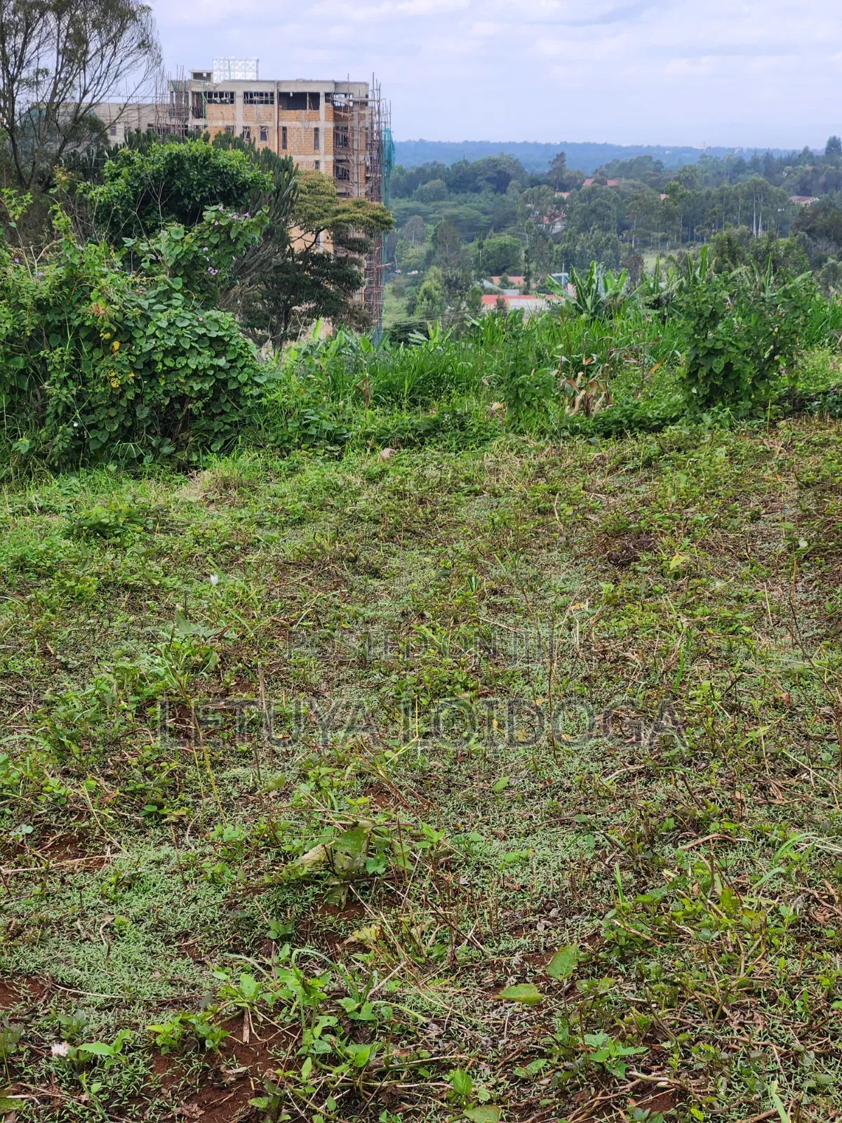 (6) 1⁄4 Acre Plots Ngong-Zambia