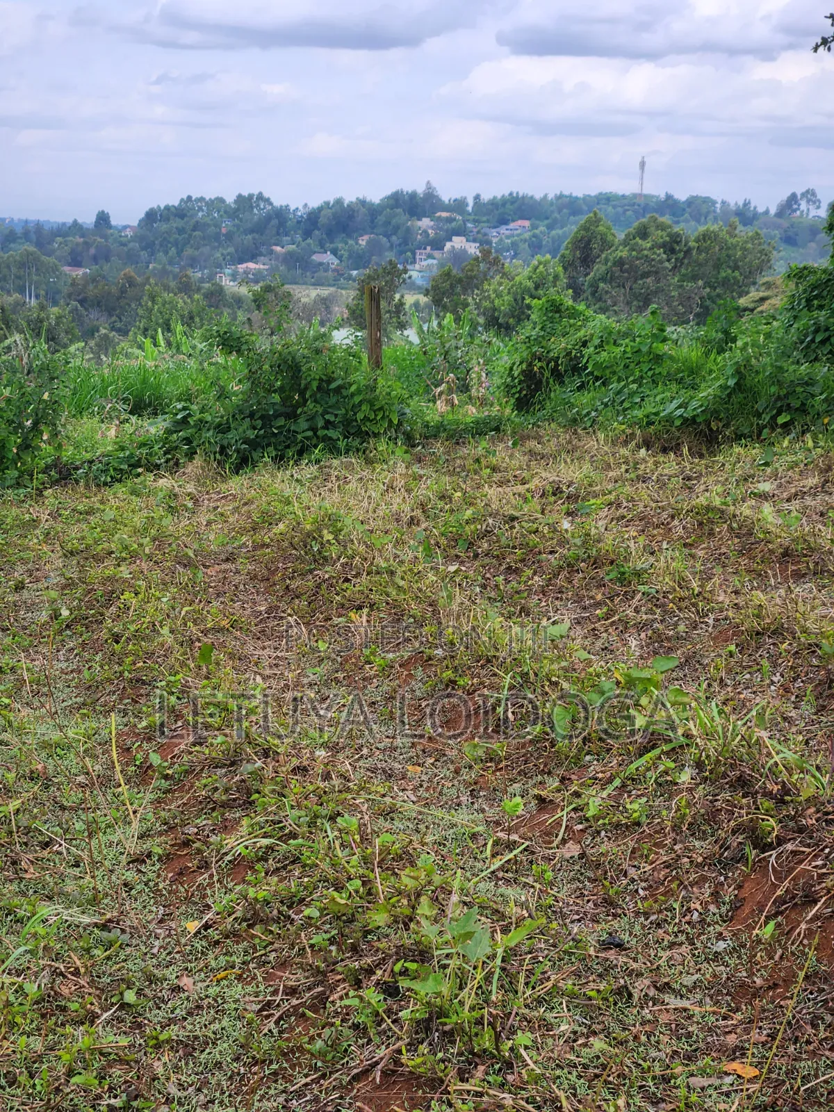 (6) 1⁄4 Acre Plots Ngong-Zambia