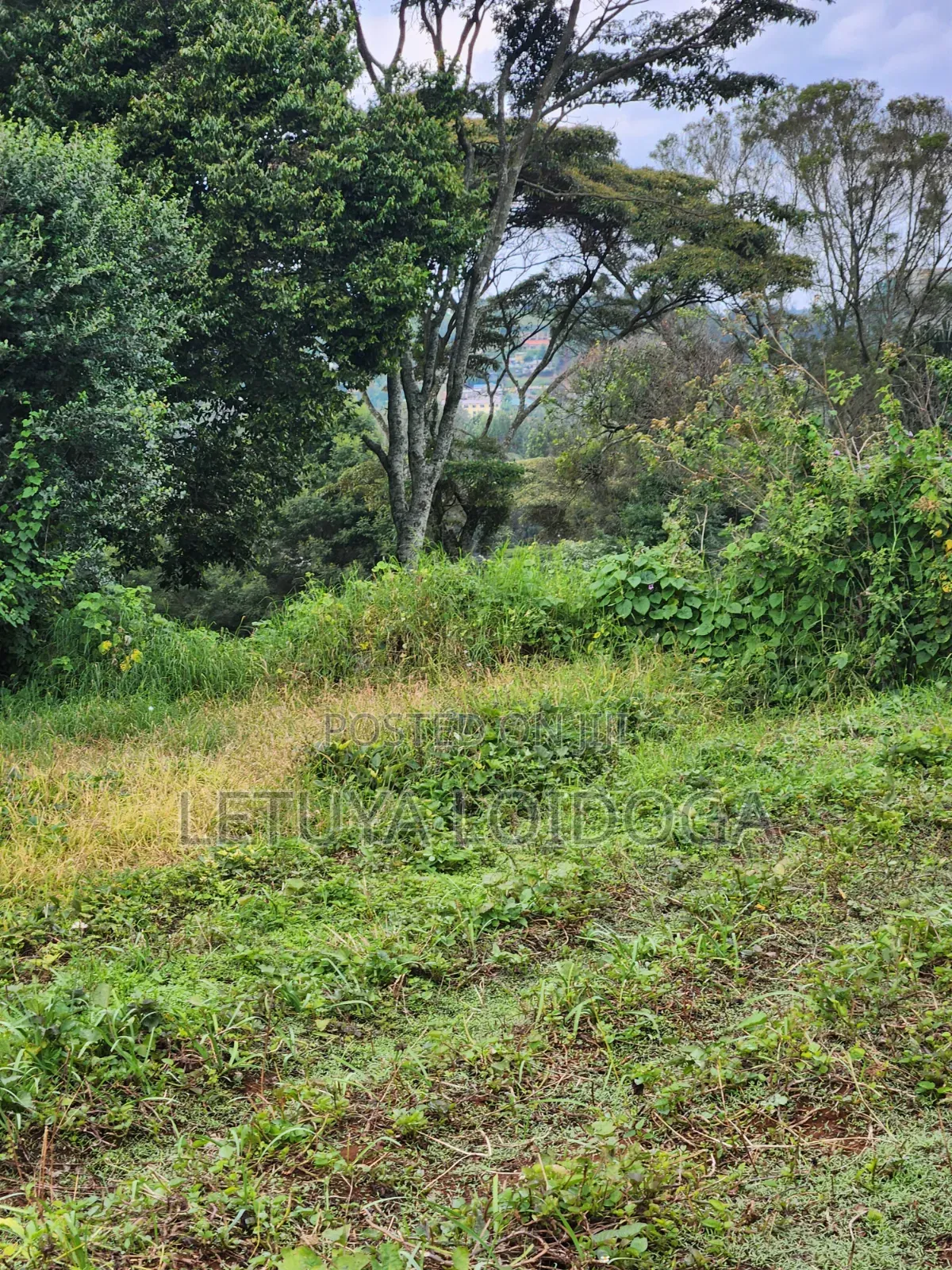 (6) 1⁄4 Acre Plots Ngong-Zambia