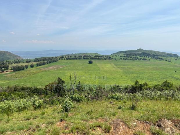 Subukia 6 Acres With a Charming Colonial Villa for Sale - thumbnail 2