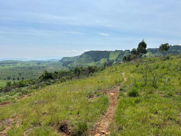 Subukia 6 Acres With a Charming Colonial Villa for Sale - thumbnail 3