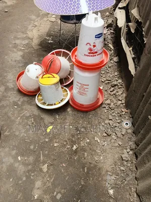 Chicken Drinkers
