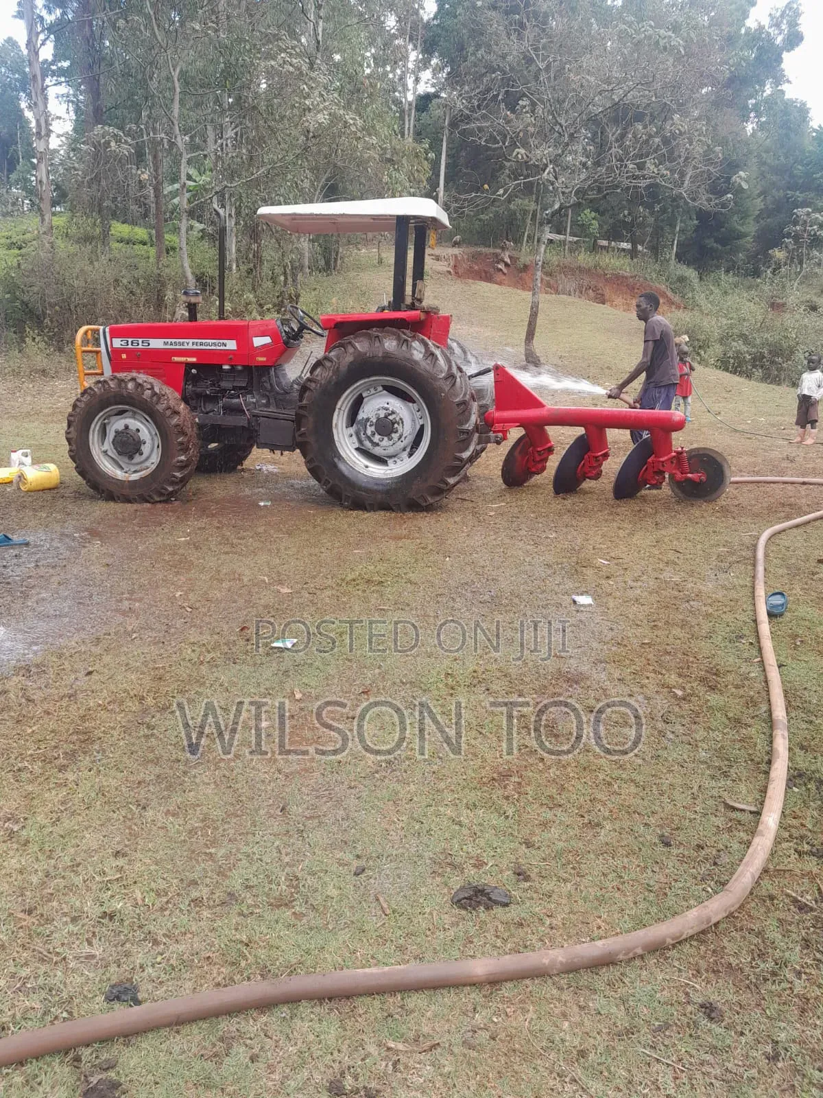 Tractor Massey Ferguson 385
