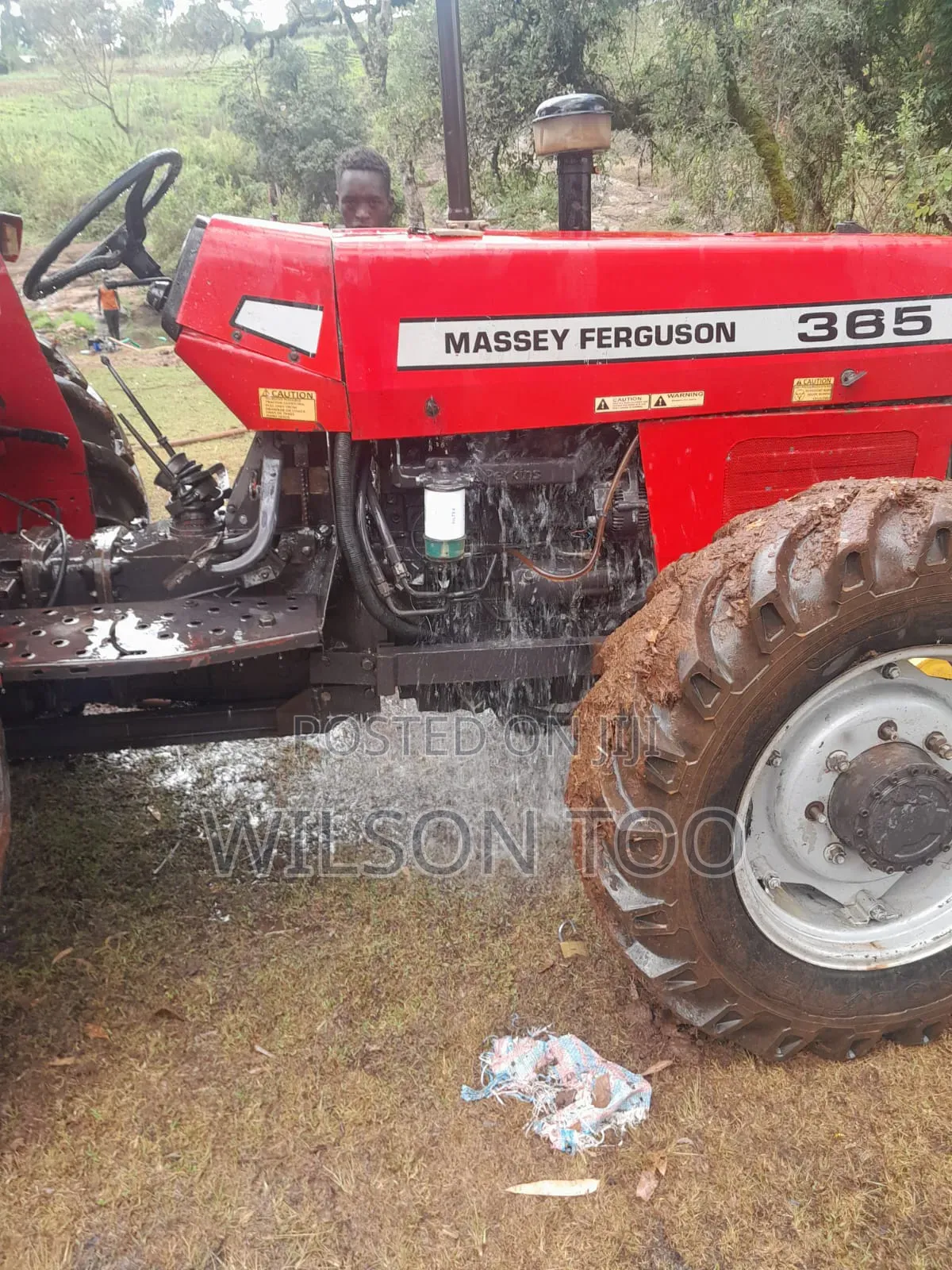 Tractor Massey Ferguson 385