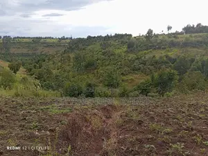 Nyandarua County.Aberdare Kipipiri, 3.5 Acres