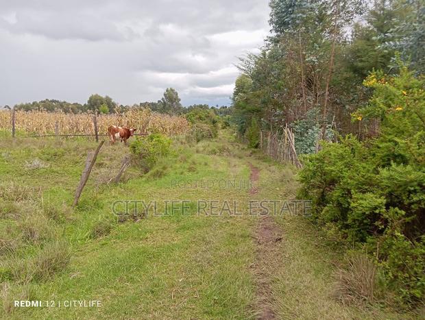 Nyandarua County.Aberdare Kipipiri, 3.5 Acres - thumbnail 2