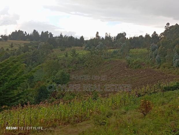 Nyandarua County.Aberdare Kipipiri, 3.5 Acres - thumbnail 5