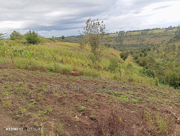 Nyandarua County.Aberdare Kipipiri, 3.5 Acres - thumbnail 7