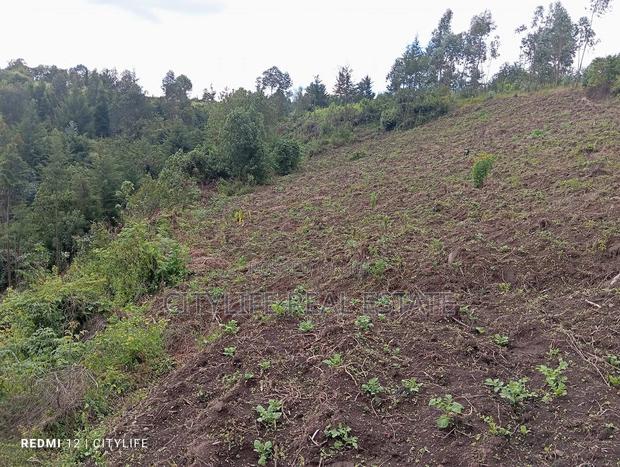Nyandarua County.Aberdare Kipipiri, 3.5 Acres - thumbnail 9