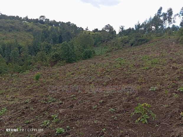 Nyandarua County.Aberdare Kipipiri, 3.5 Acres - thumbnail 10