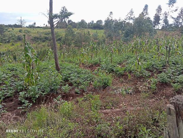 Nyandarua County.Aberdare Kipipiri, 3.5 Acres - thumbnail 11