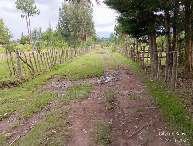 Nyandarua County.Aberdare Kipipiri, 3.5 Acres - thumbnail 12