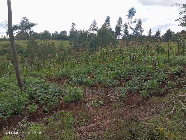 Nyandarua County.Aberdare Kipipiri, 3.5 Acres - thumbnail 13