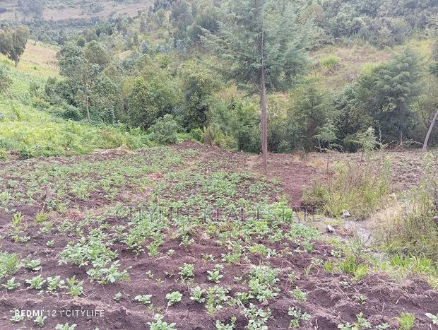 Nyandarua County.Aberdare Kipipiri, 3.5 Acres - thumbnail 14
