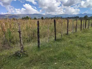 North Kinangop 18 Acres Fully Fenced With Chain Link