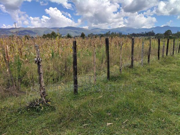 North Kinangop 18 Acres Fully Fenced With Chain Link - thumbnail 2