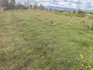 North Kinangop 18 Acres Fully Fenced With Chain Link