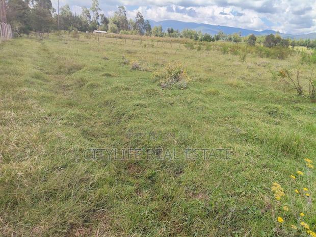 North Kinangop 18 Acres Fully Fenced With Chain Link - thumbnail 4