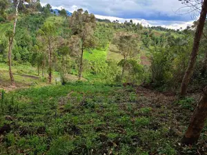 North Kinangop 18 Acres Fully Fenced With Chain Link