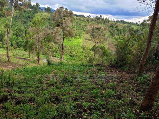 North Kinangop 18 Acres Fully Fenced With Chain Link - thumbnail 5