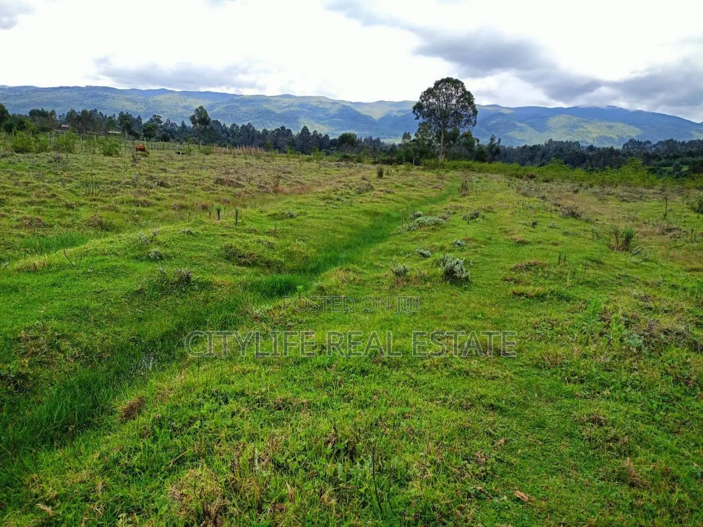 North Kinangop 18 Acres Fully Fenced With Chain Link