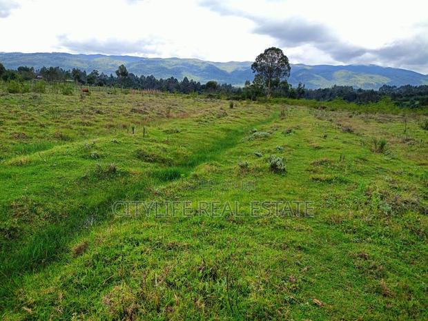 North Kinangop 18 Acres Fully Fenced With Chain Link - thumbnail 6