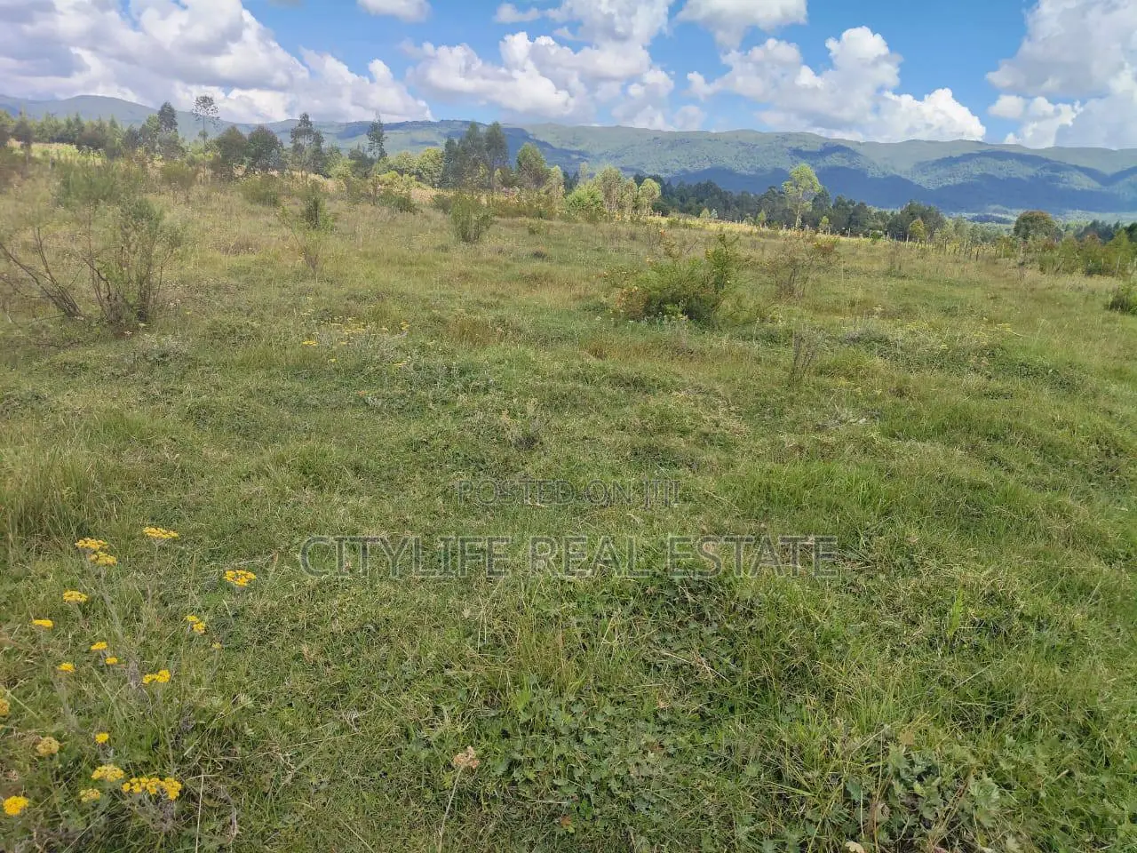 North Kinangop 18 Acres Fully Fenced With Chain Link