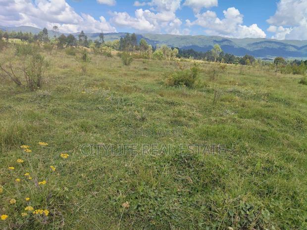 North Kinangop 18 Acres Fully Fenced With Chain Link - thumbnail 8