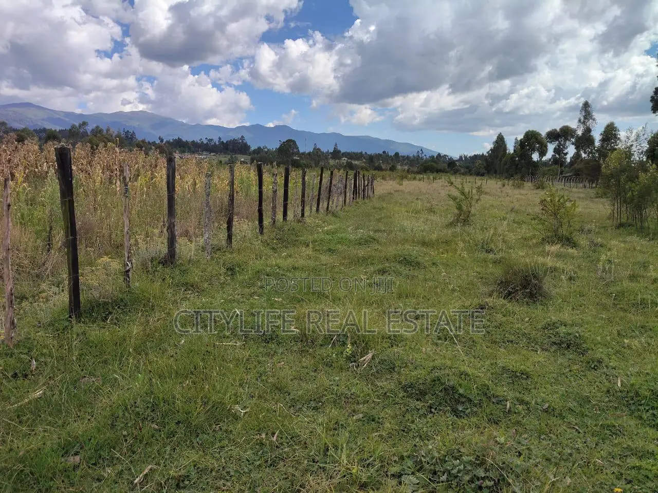 North Kinangop 18 Acres Fully Fenced With Chain Link