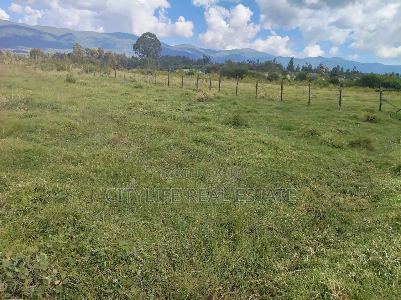 North Kinangop 18 Acres Fully Fenced With Chain Link