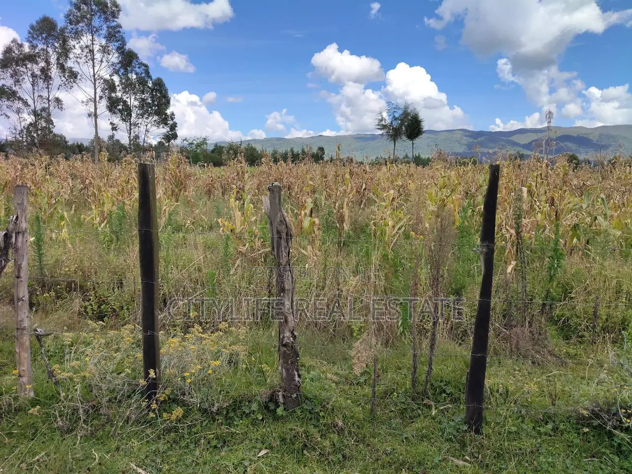 North Kinangop 18 Acres Fully Fenced With Chain Link