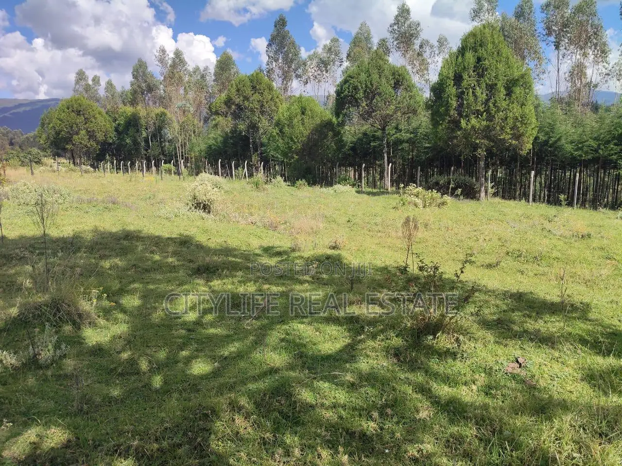 North Kinangop 18 Acres Fully Fenced With Chain Link