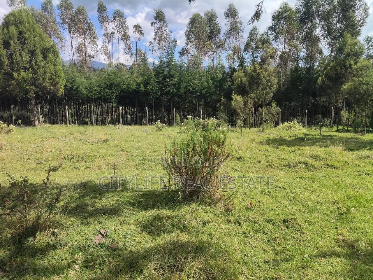 North Kinangop 18 Acres Fully Fenced With Chain Link