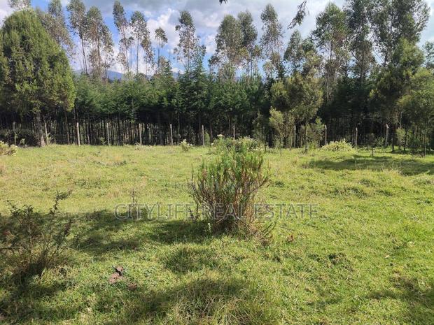 North Kinangop 18 Acres Fully Fenced With Chain Link - thumbnail 14