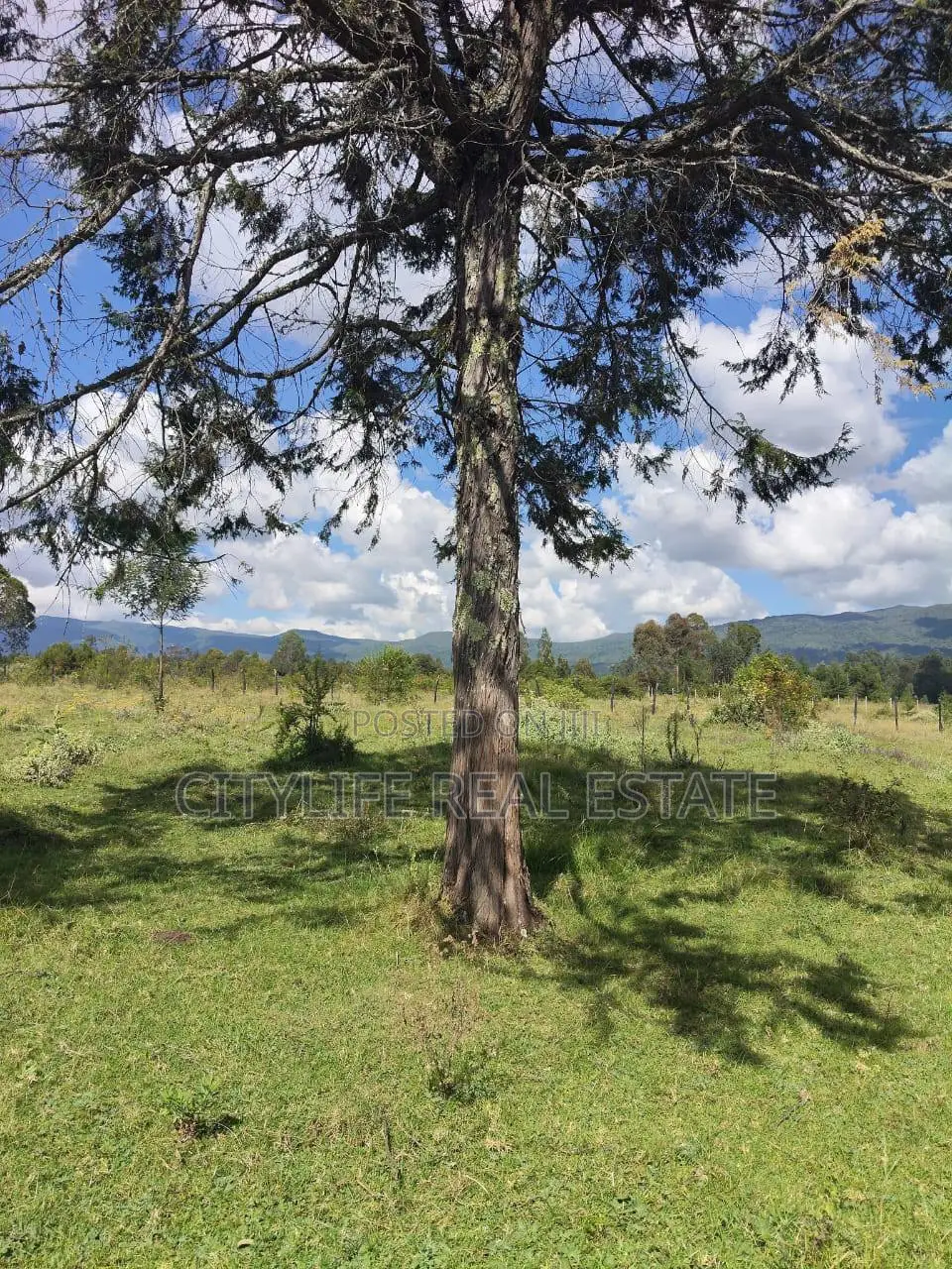 North Kinangop 18 Acres Fully Fenced With Chain Link