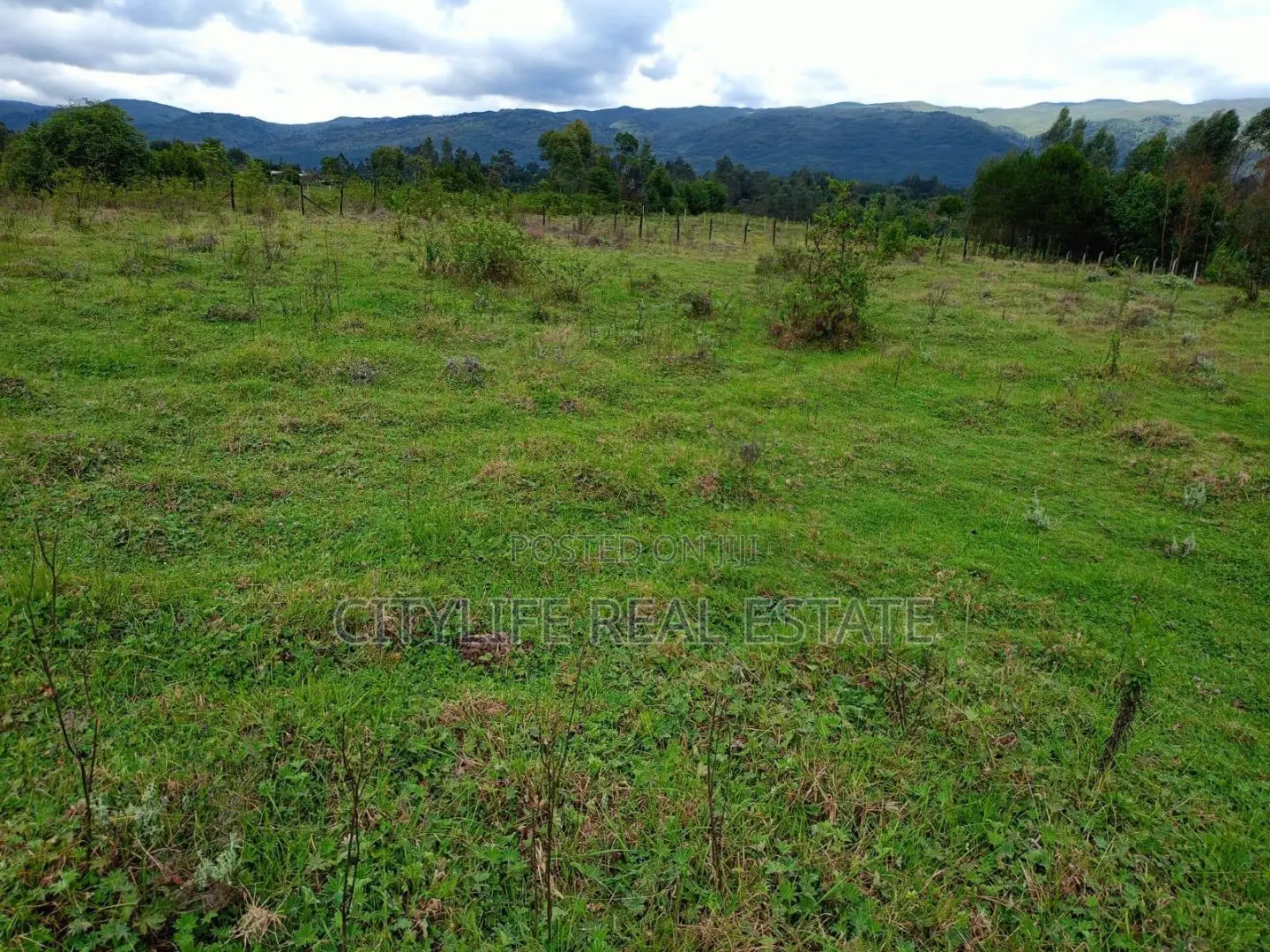 North Kinangop 18 Acres Fully Fenced With Chain Link