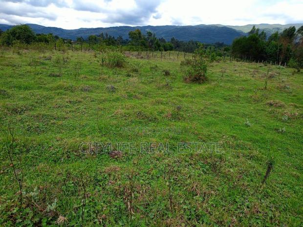 North Kinangop 18 Acres Fully Fenced With Chain Link - thumbnail 15
