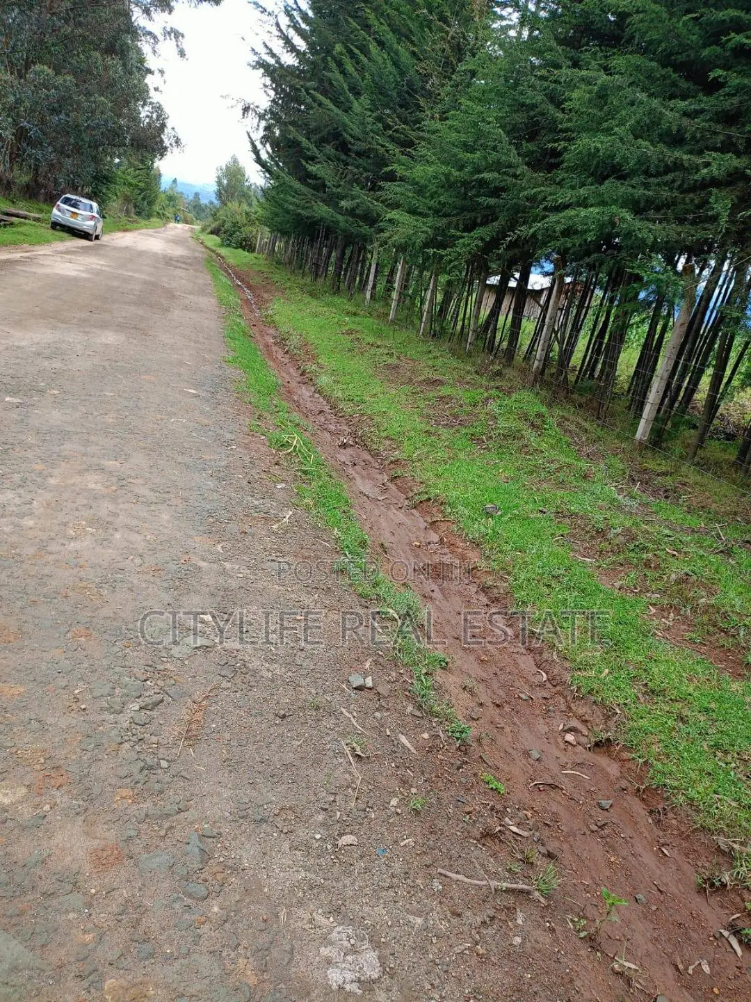 North Kinangop 18 Acres Fully Fenced With Chain Link