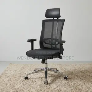 Office Chair : Mesh Executive Office Chair With Bar Re-Inforcement