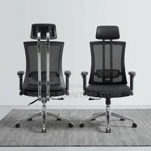 Office Chair : Mesh Executive Office Chair With Bar Re-Inforcement