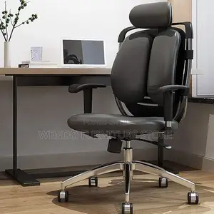 Office Chair : Black Licha Orthopedic Ergonomic Office Chair