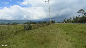 Kipipiri/Jilet,9 and 6 Acres Land Fronting Tarmac and River Malewa .